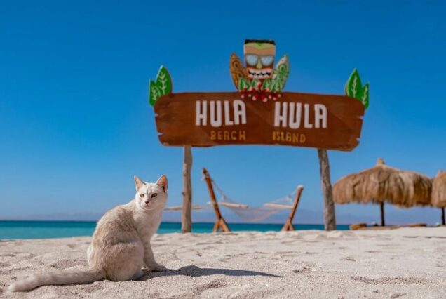 Hula Hula Island