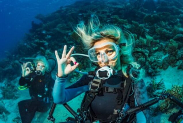 Scuba Diving Full Day Boat Trip With Lunch
